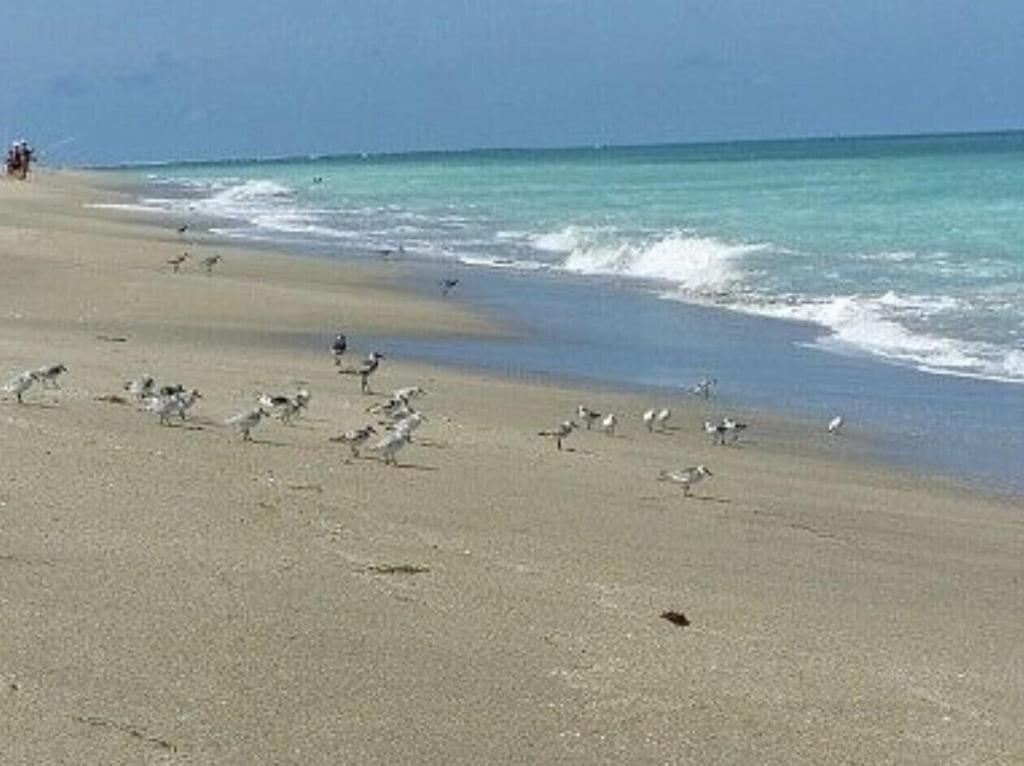 Excellent Beach Front Community, Golf Course, Tennis, Sunny Weather Year Round! 포르 피어스 외부 사진
